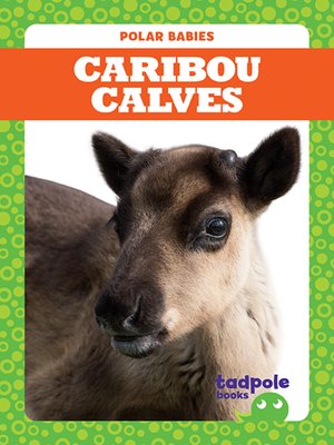 cover image of Caribou Calves